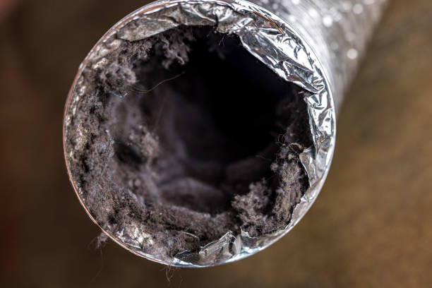 Best Residential Air Duct Cleaning  in Covelo, CA