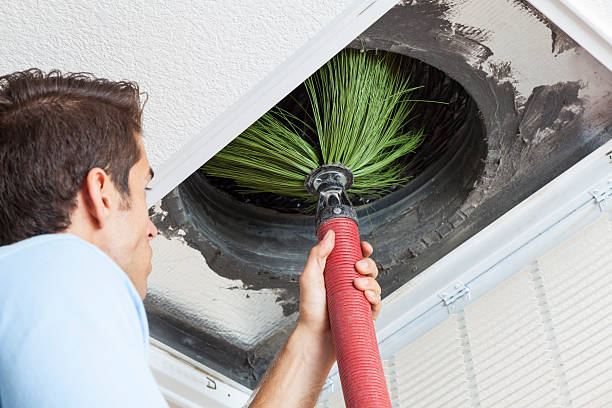 Best Air Duct Cleaning Company Near Me  in Covelo, CA